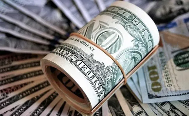 صادرکنندگان بدون استثناء به نیما می‌آیند