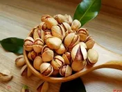 صادرات بیش از ۲ هزار تن پسته به روسیه و امارات