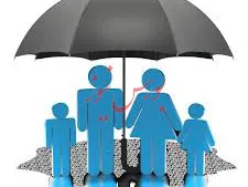 پایداری بازار داخلی ارز