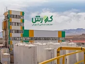 رشد ۲۹ درصدی فروش روغن خوراکی توسط 