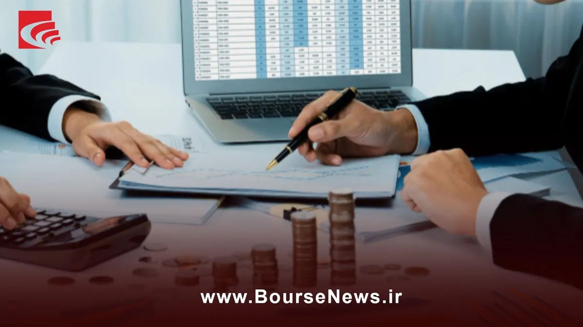 درخشش در سودآوری، تنوع پرتفوی و رشد ارزش بازار