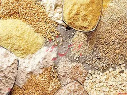 همه چیز درباره واردات نهاده یک شرکت خصوصی از روسیه