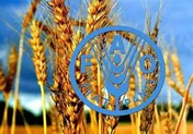 افزایش ۲ درصدی قیمت مواد غذایی در دنیا