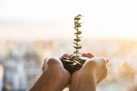 زمانبندی پرداخت سود «وافتخار»
