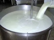 کسب درآمد «زگلدشت»