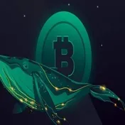 نهنگ‌ها در حال خرید؛ آیا صعود بیت کوین نزدیک است؟