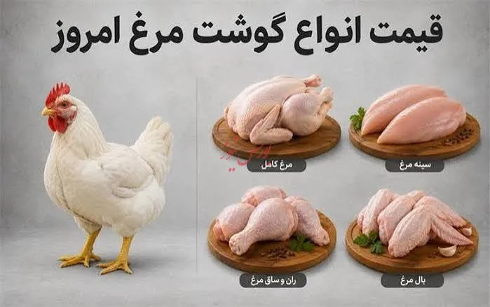 قیمت مرغ