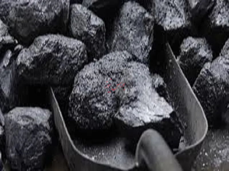 افزایش سرمایه‌ در انتظار سهامداران/ رفع مشکل نقدینگی برای تسویه نقدی خرید زغال‌سنگ می‌آید