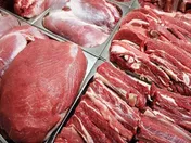 کاهش قیمت گوشت در راه است