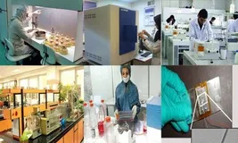 تحقق رشد اقتصادی 10 درصد با توسعه دانش‌بنیان