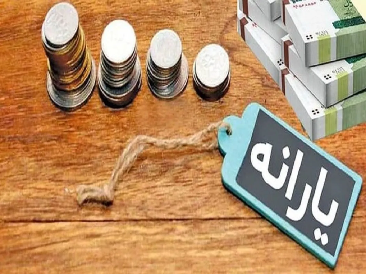 دولت از یک یارانه جدید رونمایی کرد