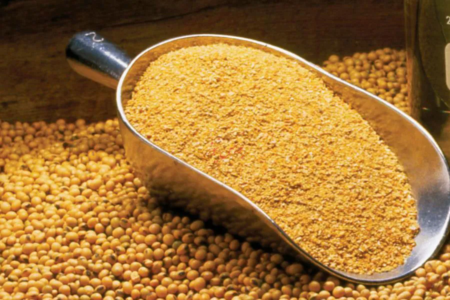قیمت خوراک دام از آمریکا برای تجار ایرانی مناسب‌تر است