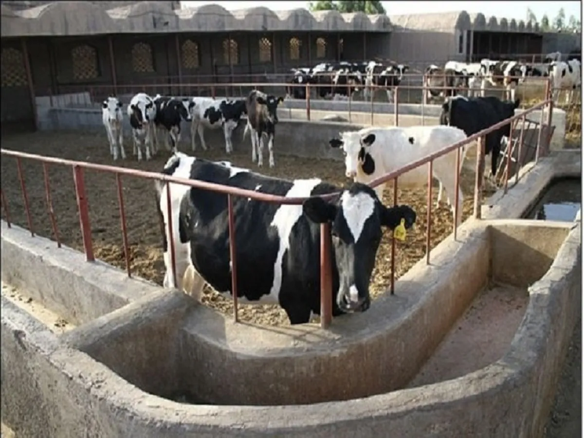 گردهمایی سهامداران 