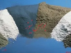 سود ۱۱۶ ریالی هر سهم 