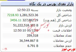 رشد ۷ هزار واحدی شاخص کل