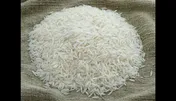 واردات برنج آزاد شد
