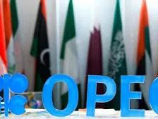 موفقیت آمیز بودن صد وهفتاد و پنجمین نشست اوپک