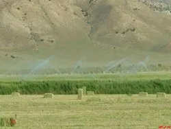 هیات مدیره جدید 