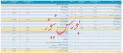 صورت مالی حسابرسی نشده 