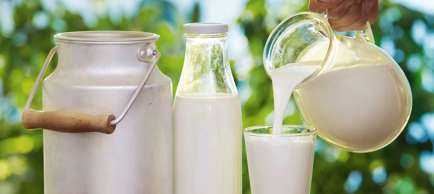 سودخالصی که برای این شرکت کم‌چرب تمام شد/ وزن سنگین شیر در برابر دیگر محصولات