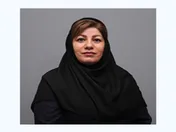 نقش نیروی انسانی در تشکیل فرهنگ سازمان‌ها