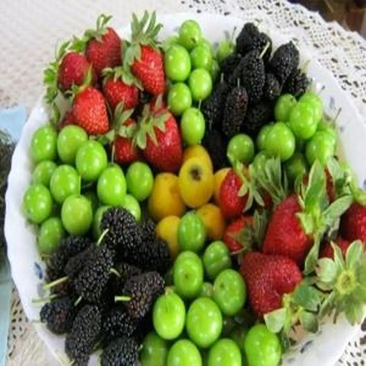 کاهش تدریجی قیمت میوه‌های نوبرانه در گذر زمان
