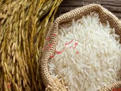 آغاز معاملات گواهی سپرده برنج طارم مازندران