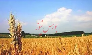 عرضه محصولات با قیمت تضمینی در بورس کالا سال آینده اجرایی نخواهد شد