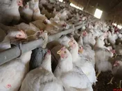 هفتمین عرضه اولیه بورس تهران/