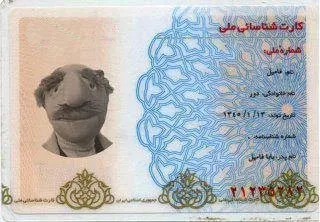 کارت ملی فامیل دور (عکس)