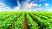 عرضه اولیه «زشریف» در فرابورس