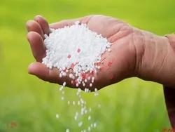 تحلیل صنعت اوره و آمونیاک