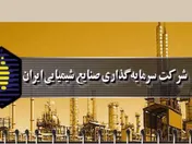گزارش کنترل‌های داخلی 12 ماهه «شیران»