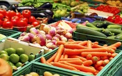 قیمت جهانی مواد غذایی ارزان‌تر شد