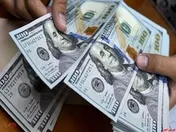 تشکیل کمیته نظارت بر نحوه تخصیص ارز ۴۲۰۰ تومانی