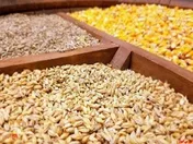 ترخیص نهاده‌های دامی رسوبی آغاز می شود