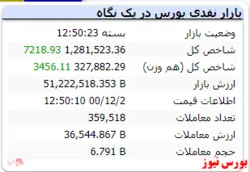 رشد ۷ هزار واحدی شاخص کل