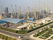 سوددهی سهامداران 