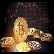 بیت‌کوین در اوج قیمتی بی‌نظیر قرار گرفت
