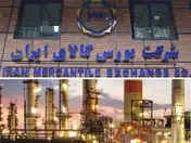 بیش از ۳۰ هزار تن وکیوم باتوم میهمان بورس کالا