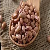 کاهش قیمت لوبیا چیتی در بازار