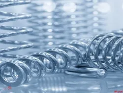 پرداخت سود 