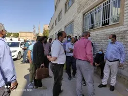 «بی‌سوادها» در کوچه ناآگاهی دلالی می‌کند ...