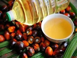 روغن خام سویا 