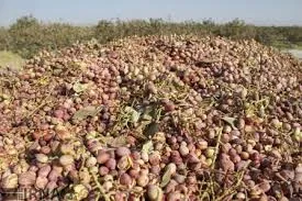 نزول ایران به رتبه دوم صادرات پسته