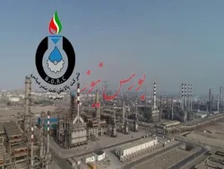 افزایش نرخ فروش ۲ درصدی وکیوم باتوم 