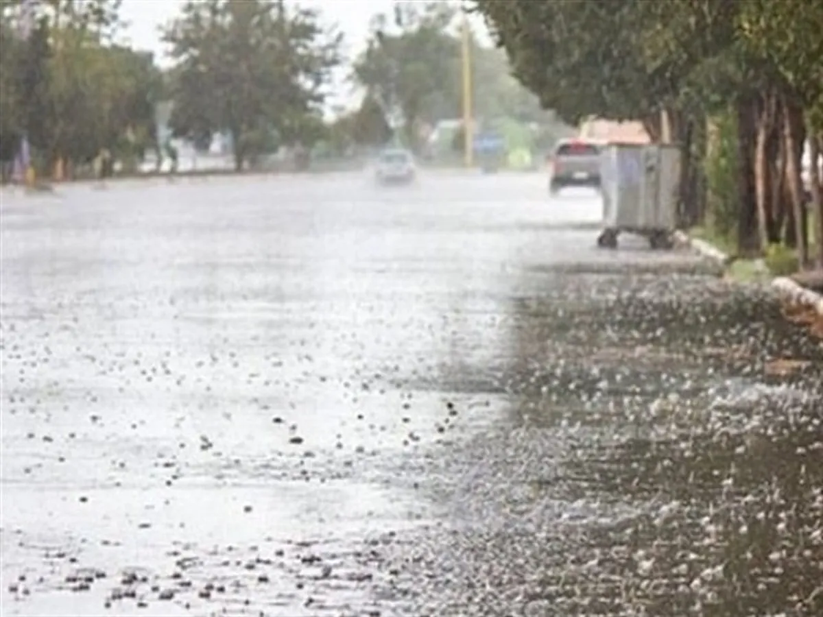 بارندگی در استان ها تا پنجشنبه ادامه دارد