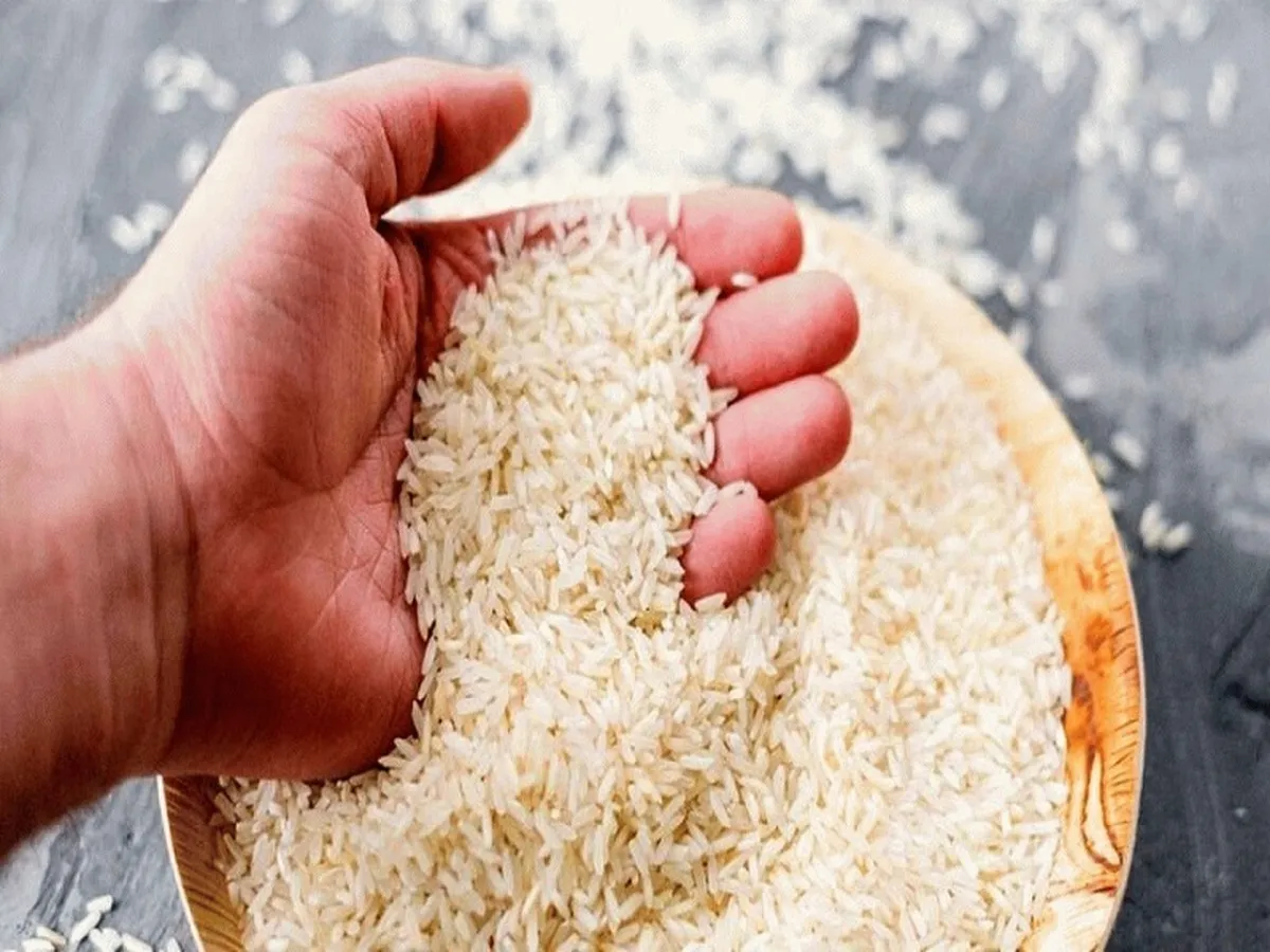 ثبت سفارش جدید برای واردات برنج انجام نشده است