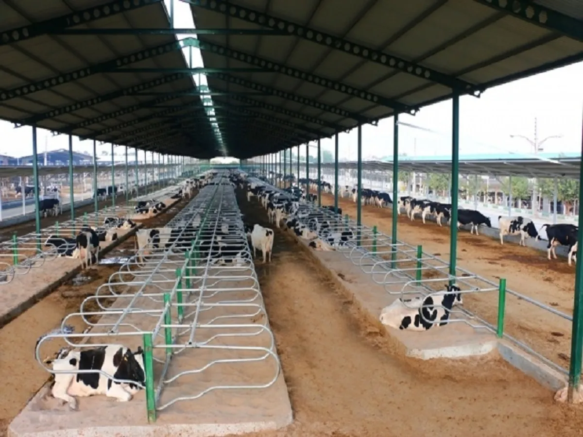 گزارش سرمایه 