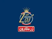 بازدید مدیران ارشد نهاد‌های مالی و فعالان بازار سرمایه از گروه صنعتی پژوهشی زر